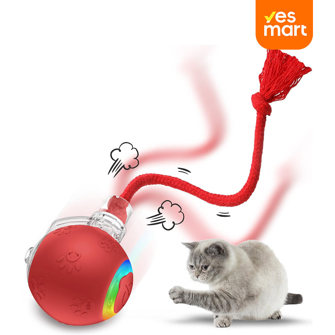 Juguete Interactivo para Gatos de Interior – Bola Rodante con Luz, Sonido de Pájaro y Cola Giratoria, Recargable por USB, Activación por Movimiento, para Alfombra y Madera – JM001