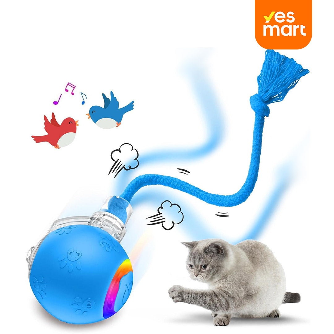 Juguete Interactivo para Gatos de Interior – Bola Rodante con Luz, Sonido de Pájaro y Cola Giratoria, Recargable por USB, Activación por Movimiento, para Alfombra y Madera – JM001