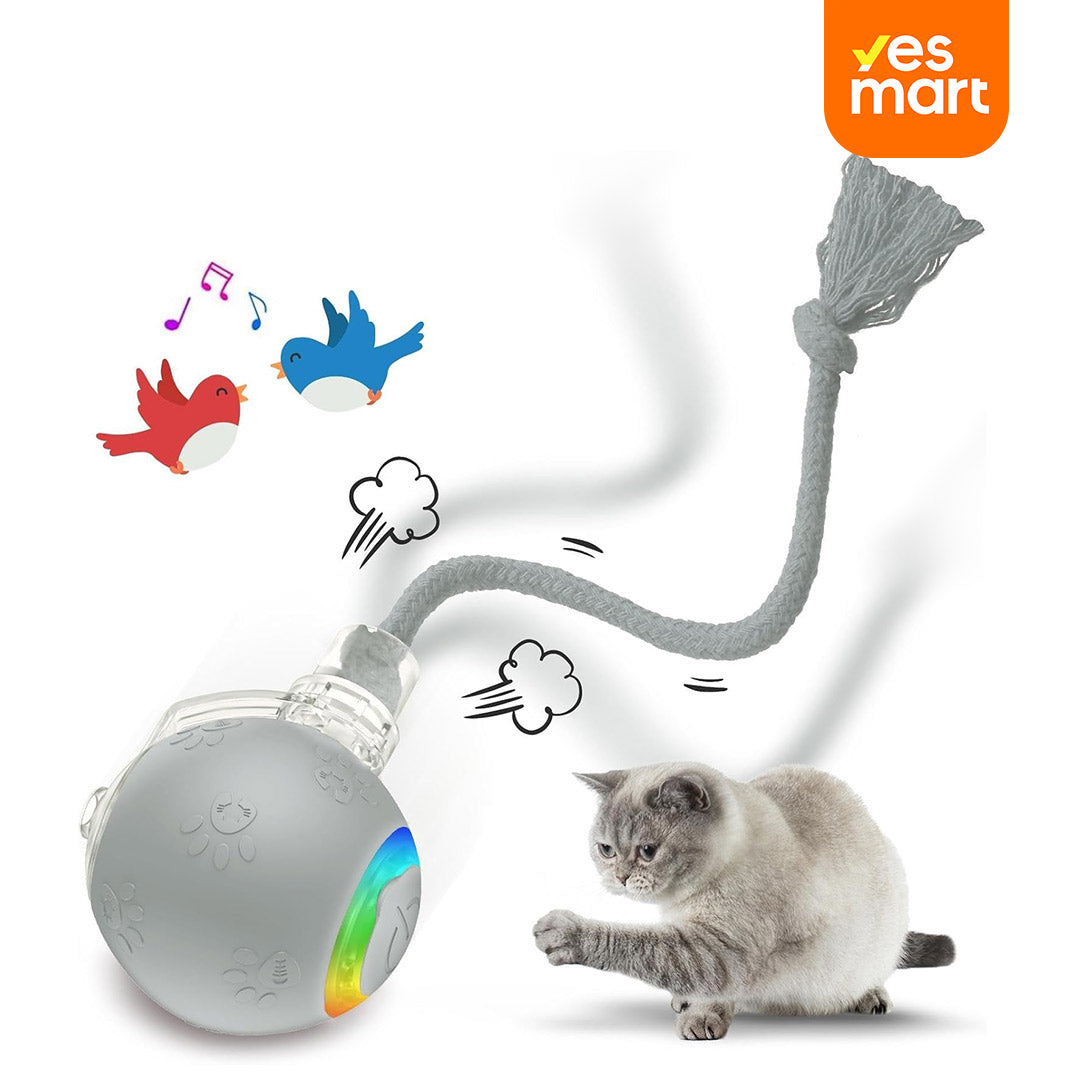 Juguete Interactivo para Gatos de Interior – Bola Rodante con Luz, Sonido de Pájaro y Cola Giratoria, Recargable por USB, Activación por Movimiento, para Alfombra y Madera – JM001