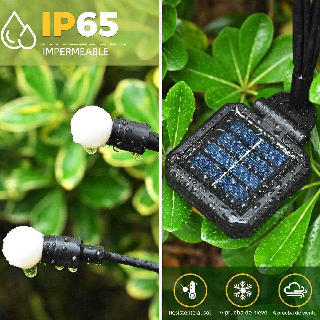 Luces de Jardín Solar con 20 LEDs, Luces Solares para Exteriores, Luces de Luciérnagas para Decoración de Navidad, Patio, Camino y Jardín, Resistente al Agua – JP003