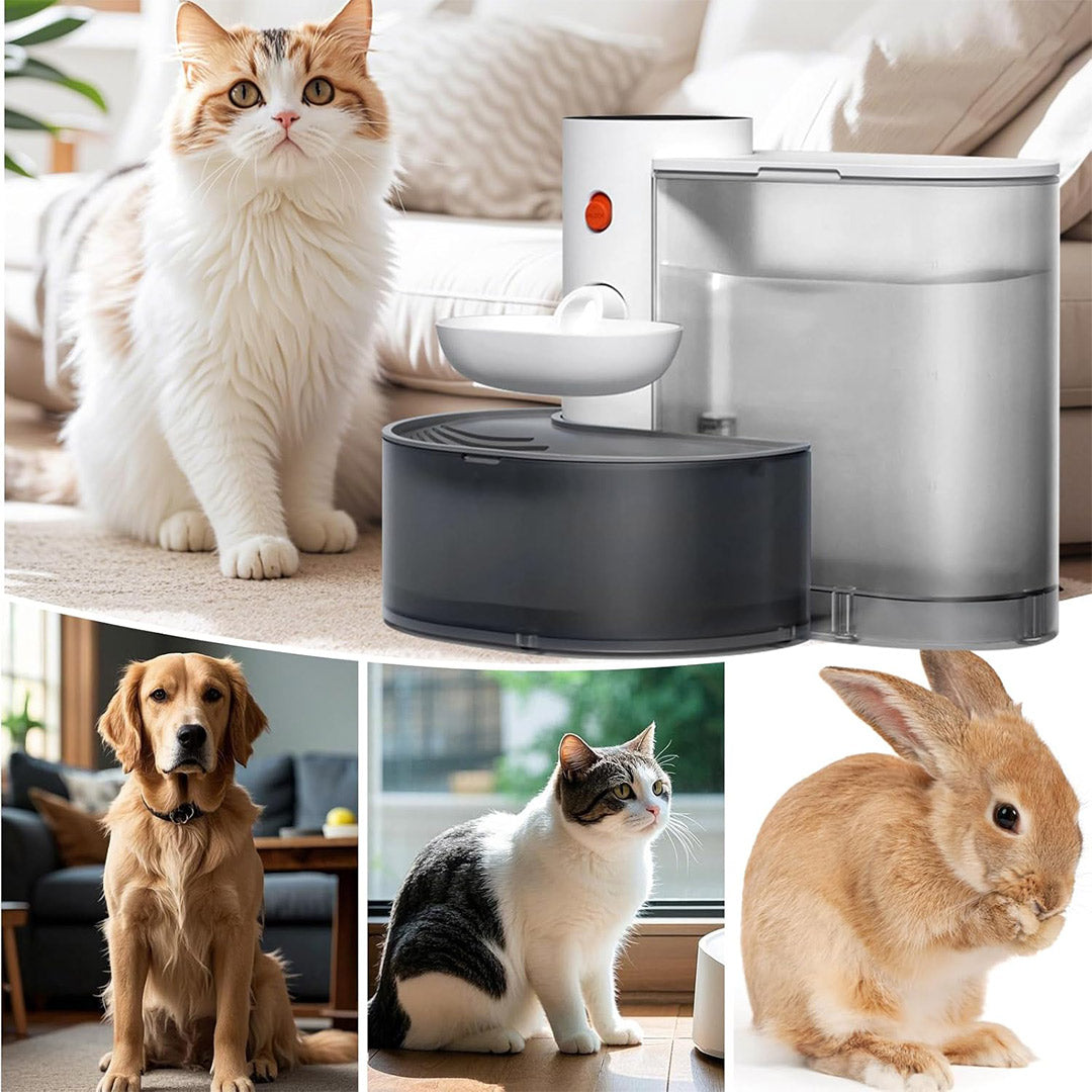 Fuente de Agua Inteligente para Gatos sin Filtro 3.5L – Bebedero Automático por Gravedad con Tanques Separados Recargable para Mascotas - DM005