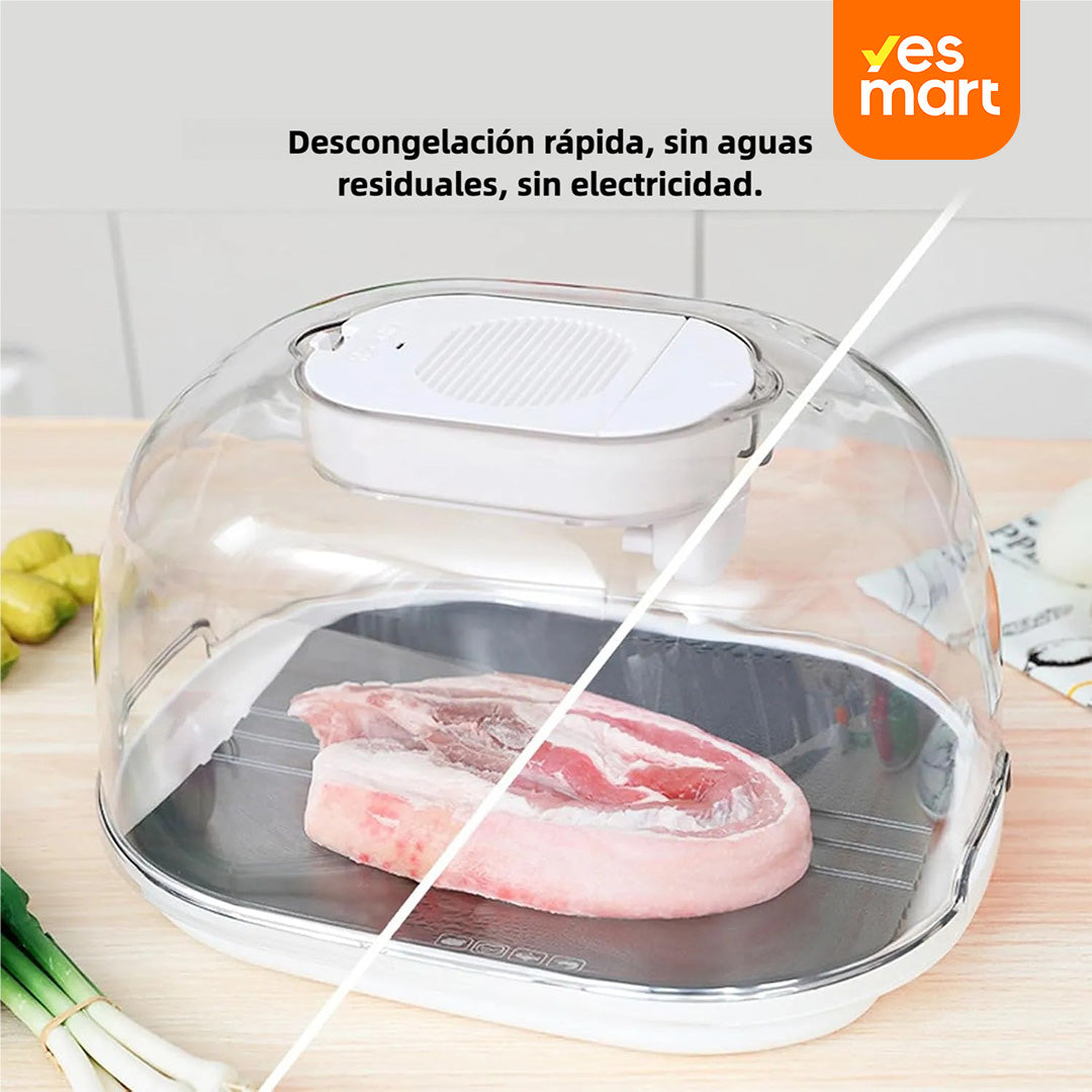 Bandeja Descongeladora USB para Carne con Bandeja de Drenaje y Tapa - AH003