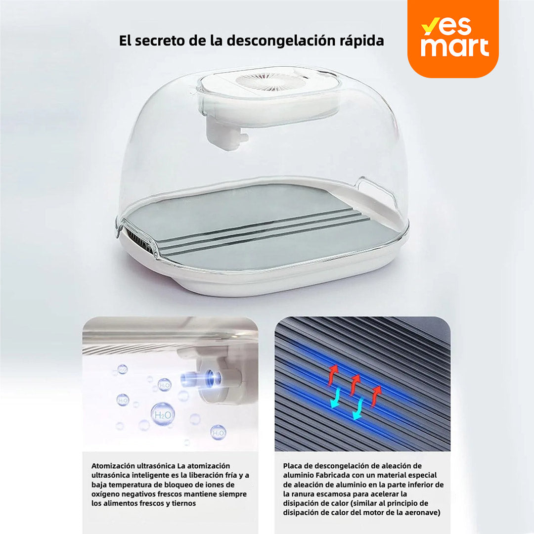 Bandeja Descongeladora USB para Carne con Bandeja de Drenaje y Tapa - AH003