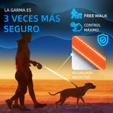 Correa Retráctil para Perros 5M Antienredos con Mango Antideslizante y Cinta Reflectante para Mascotas de Hasta 50kg - DM003