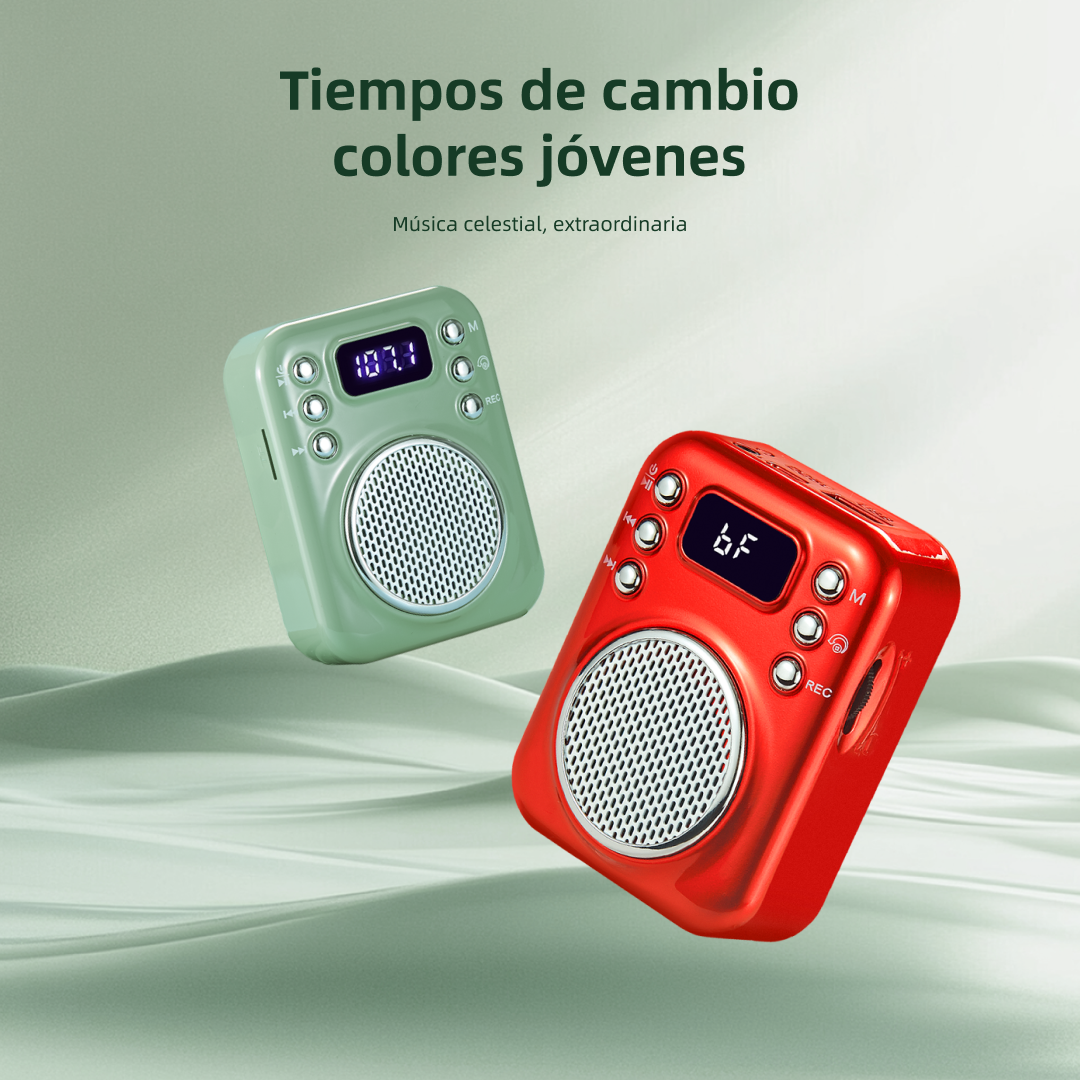 Altavoz Grabador de batería recargable extraíble bluetooth portátil Speaker box -BS005 - Yesmart
